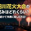 隅田川花火大会　人込み